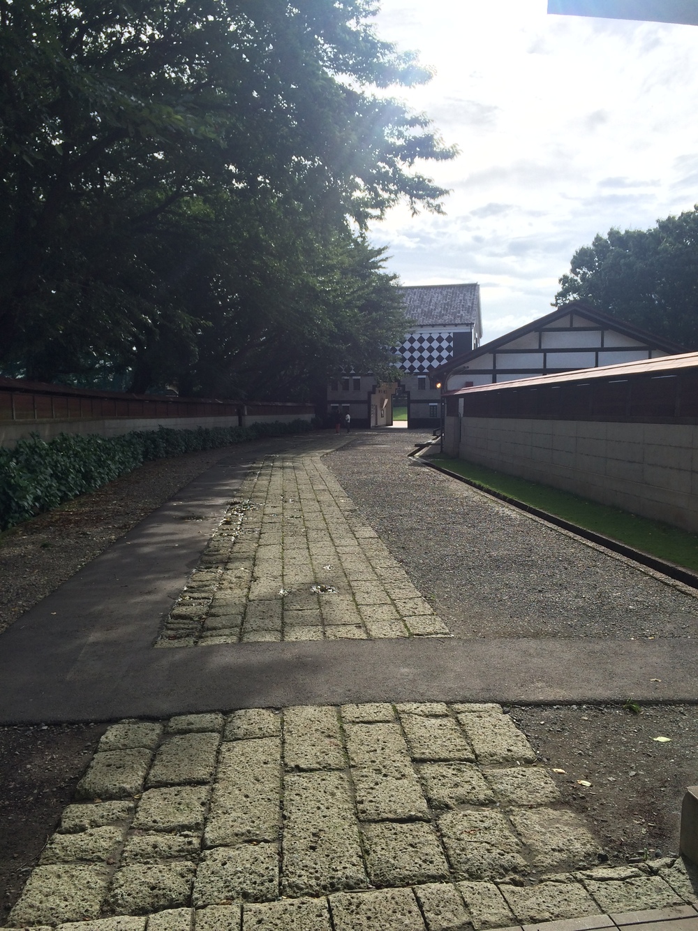 Entrance street at Eishin